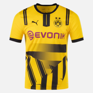 Camiseta de Hombre BVB Borussia Dortmund Cup 202425 1